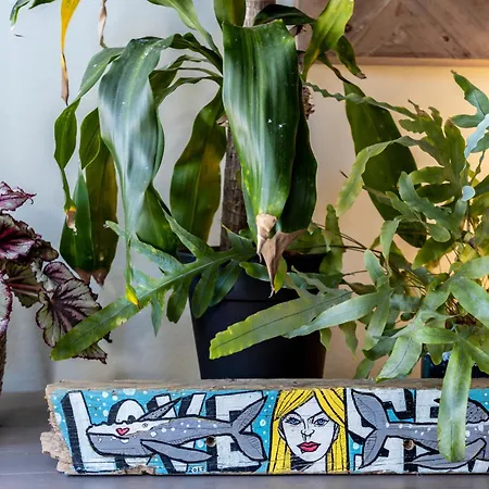 Casa Skip * Алжезур