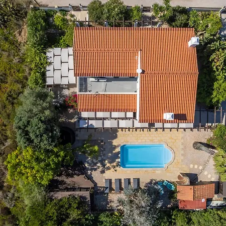 Casa Skip