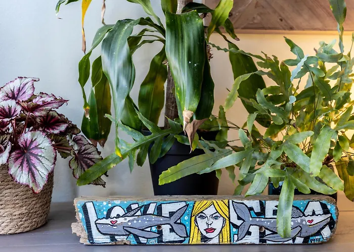 Casa Skip * アルジェズール